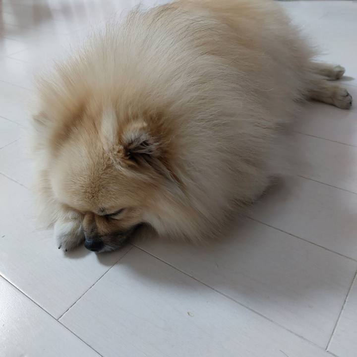 65cb9c66 f446 432c 8145 6692e06b3c21 1684329498170