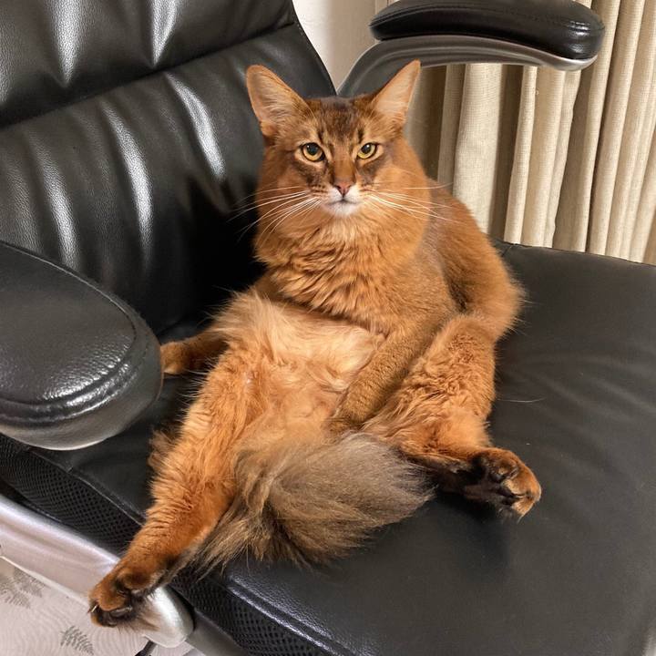 65cc1f36 436b 421a bea9 f53468894bba 1615384588802