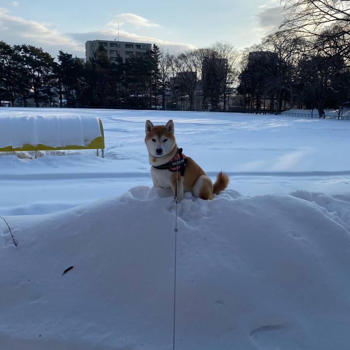 65cc3559 a0df 4849 8e63 72fd00916934 1612159903243