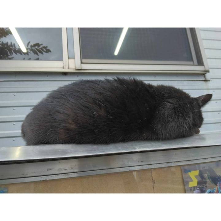 65cc3f68 17a5 4e1e 81fb f7bcd8fa6dd1 1697863061598