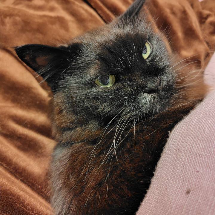 65cc547d f184 4043 ba46 0fb101bd3544 1742913491679