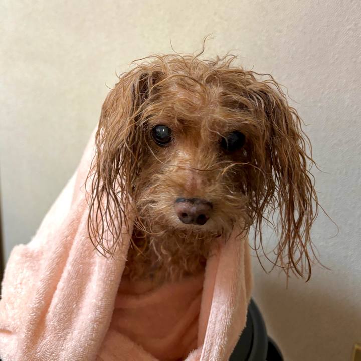 65cc5640 7068 4a45 8898 203928c020cc 1757379153054