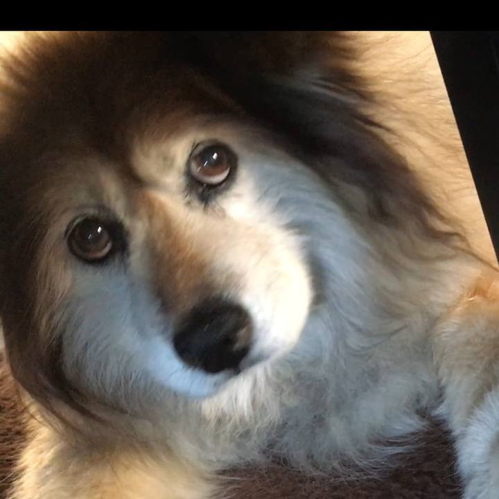 65cc7acd 0834 42d6 92b8 bc1b463c4122 1599745272522