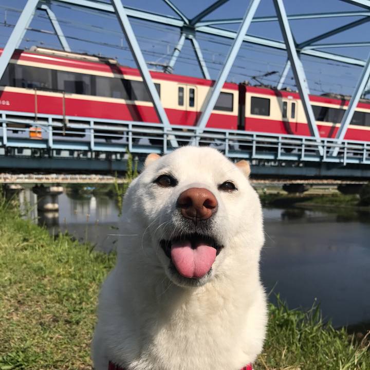 65cc9d64 29ce 4102 87d3 b7c8cf8360f4 1524095535269