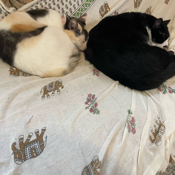 65ccae94 1f8c 4423 a58e eed5801dab17 1761087999431