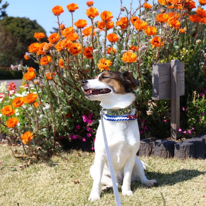 65ccc6c5 ed4b 4c62 936b 6e5ca4f8a1f5 1552721811415