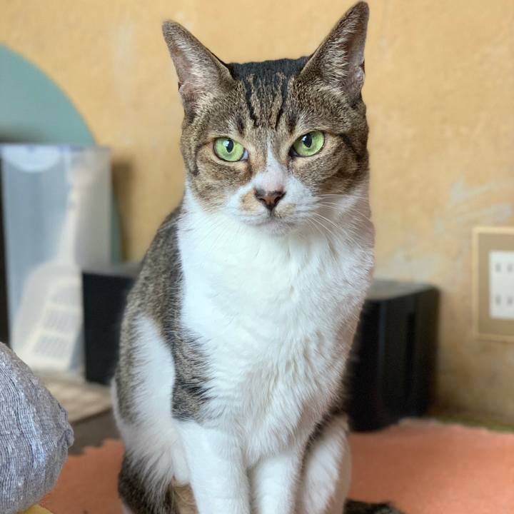 65ccc997 94d7 4e0f 92c5 45adf60162cf 1571447538475