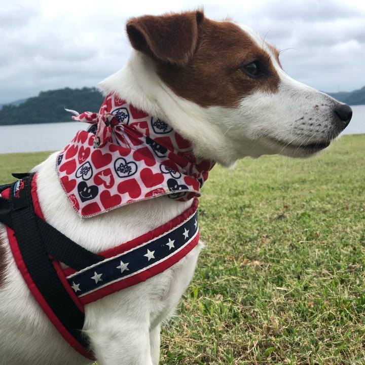 65cccf40 5acc 4958 9abf 1da4d1756c39 1625280255668