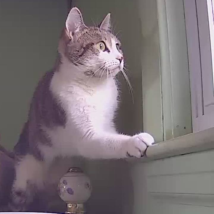 65cce2fb 2f2a 4f73 afbe 3f7d432f5d97 1632874770295