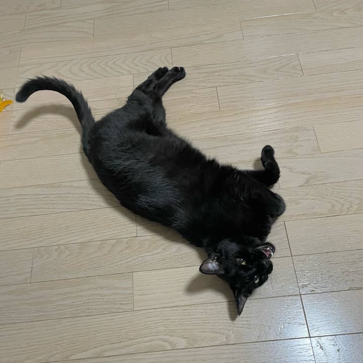 65cd57be e557 4a82 b1b8 deac98425abc 1720180536902