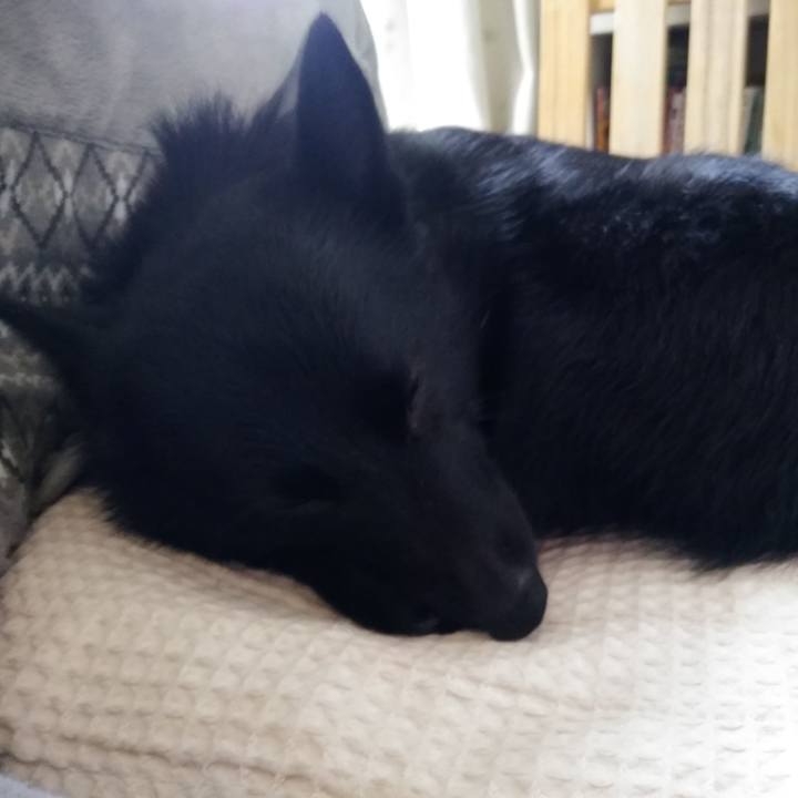 65cd813d 06b5 499d 882f cb41670ecea7 1549862248917