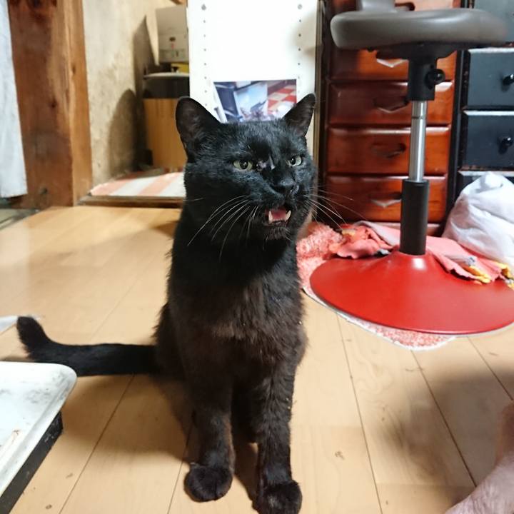 65cd8dfe 256c 4f56 bca5 a39936ece511 1624275138860