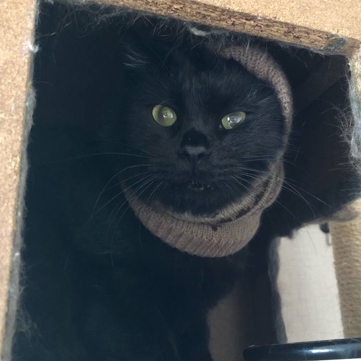 65cdd35b e1fe 42c3 9ea3 bea423cc77df 1603519447984