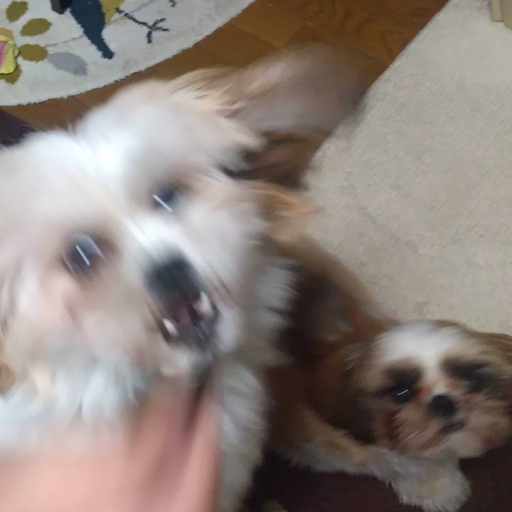 65cdd4ce 0e45 41ca b4c2 b1de2aedcb9f 1575271403265