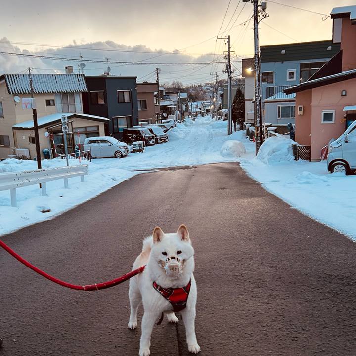 65ce0cd6 5862 49b9 b7bb 746294f35758 1767133627282