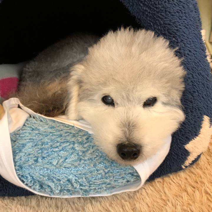 65ce1c73 a152 48dd 934d 08b82a35ebfe 1622160281342