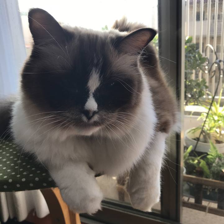 65ceafa4 d82d 4267 834f 48e98b0fdee5 1509709867993