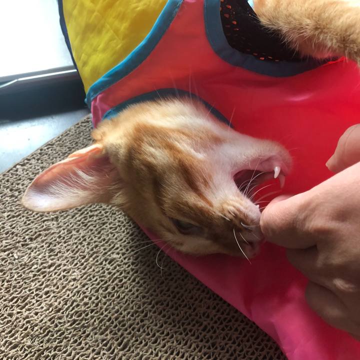 65cef47d c573 461c b316 e5ece8877271 1632254844229