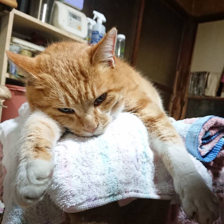 65cf0347 0bcf 4e47 8109 23918500d949 1607550024140