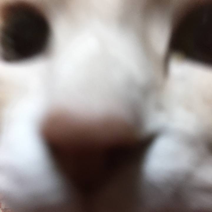 65cf114f d374 490d 9d50 725c153a9987 1522928796563