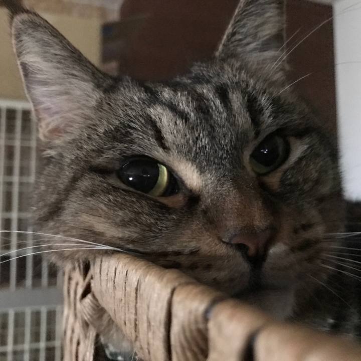 65cf555f eedd 495f 8d37 c351b85a6195 1565751628563