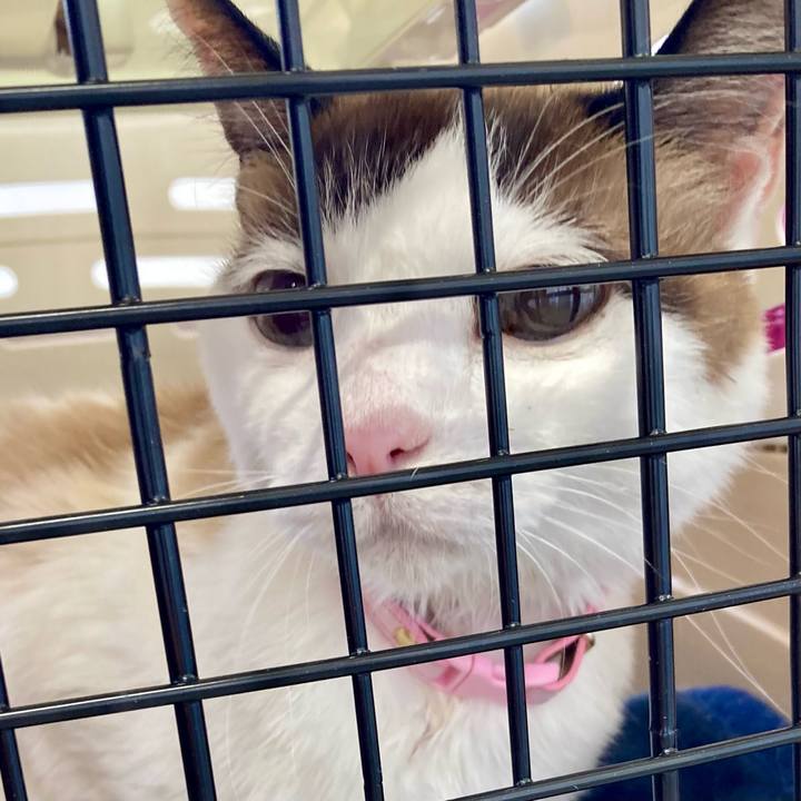 65cf6310 cb75 4fee aba5 531ef35180d6 1677390115768