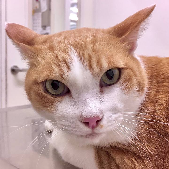 65cf7d1c 4cc3 4142 a124 4b3fde3c1b80 1571998107725