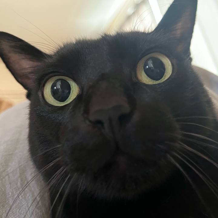 65cfa3da 5bc7 4a5e b85b 5bc0fc05033d 1767313034370