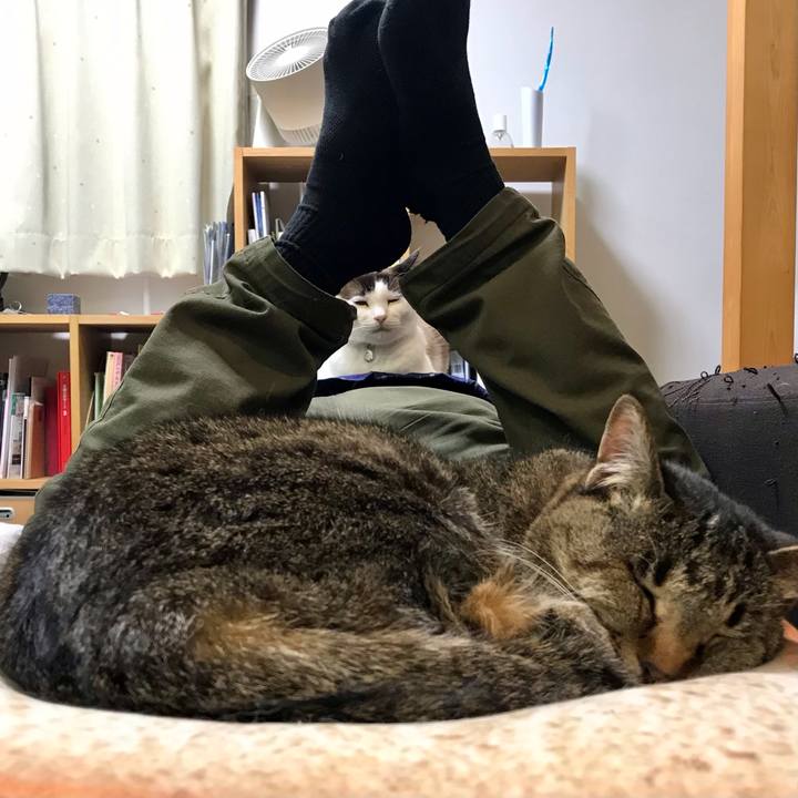 65cfb724 918a 47d7 8a2b ebf8b55261f3 1618655923259