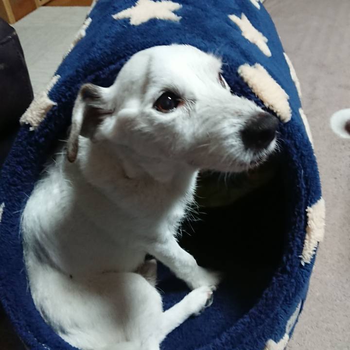 65d00eca 6be8 4e46 8c5d 5ebb29dab199 1606867188677