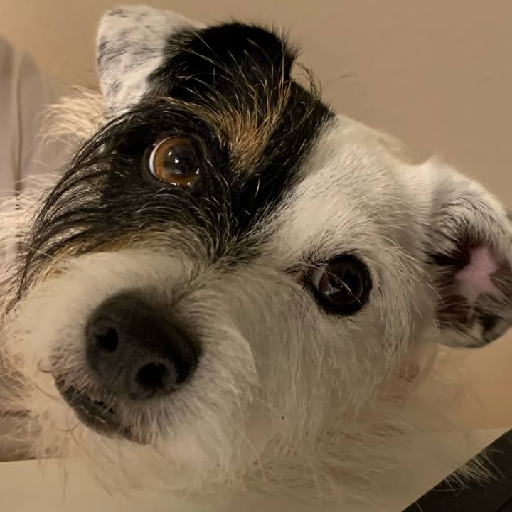 65d02954 7ac1 4753 b80f 67f514aafba4 1626518090050