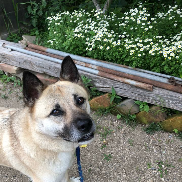 65d02e43 9965 49e6 b657 88e7350f087e 1591359611232