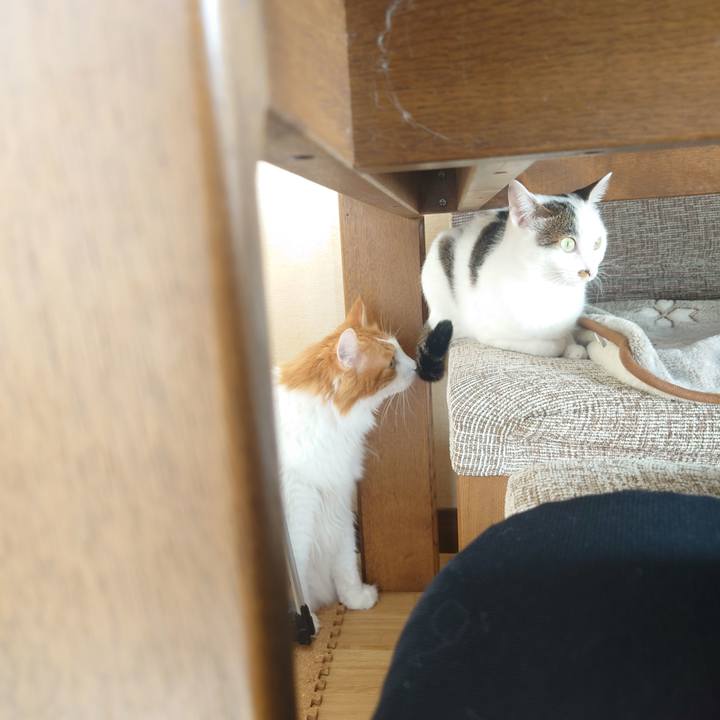 65d0913d 1891 451d add9 cc0f8548978e 1696656478171