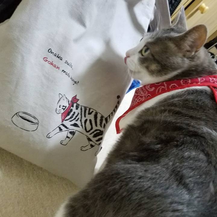 65d0953e eeab 4036 a6fe 0c33a9a2ef19 1512049245731