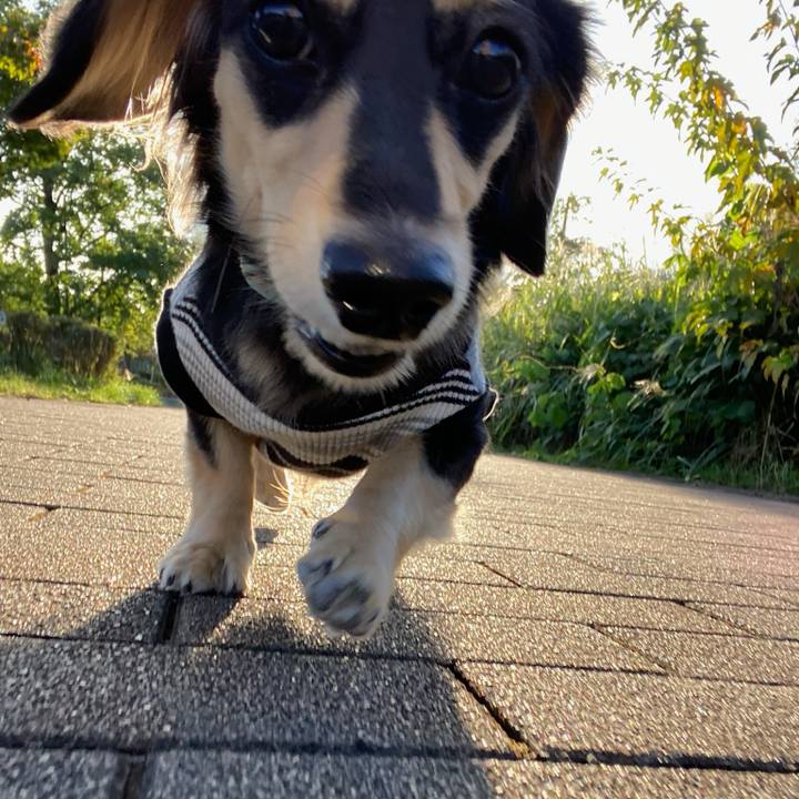 65d09b70 7be6 49d5 bdb1 62bff6cf6897 1696829786082