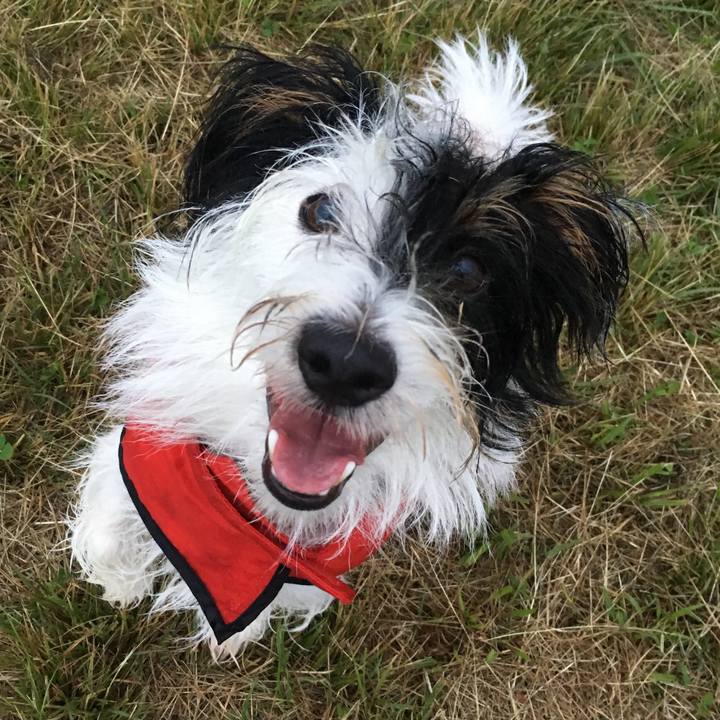 65d0aaea 8a44 439c 887b 9590482ebad4 1509235289547