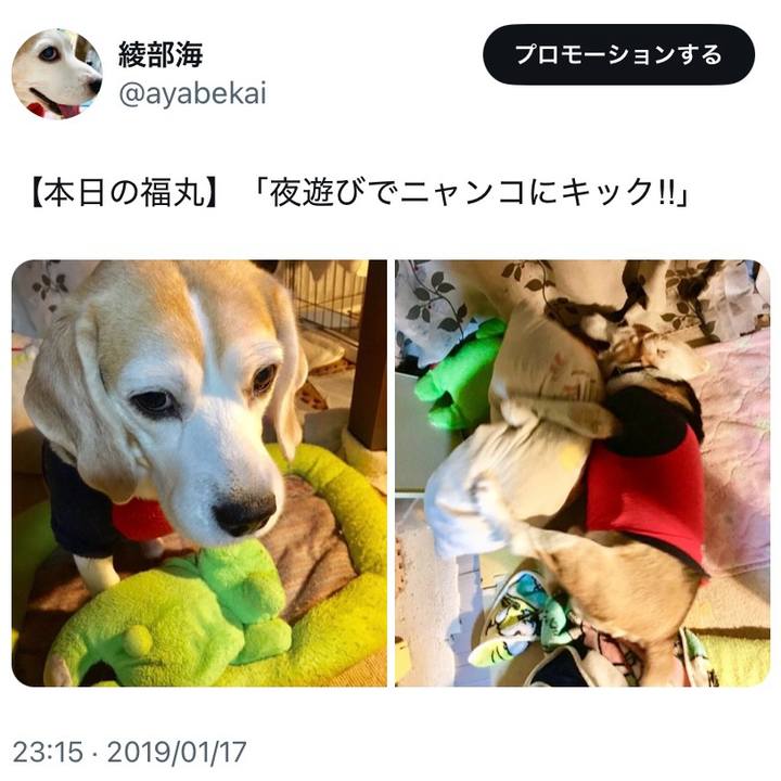 65d0ba72 8fb0 404b 8197 b4bd8f8652ff 1737073221958