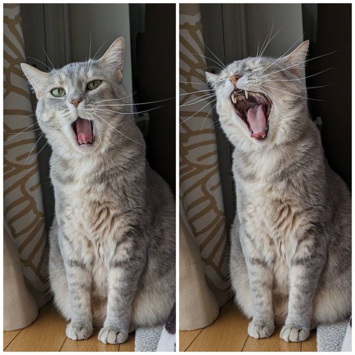 65d0d92a 6abe 43ff 86c0 081754086979 1684209316437