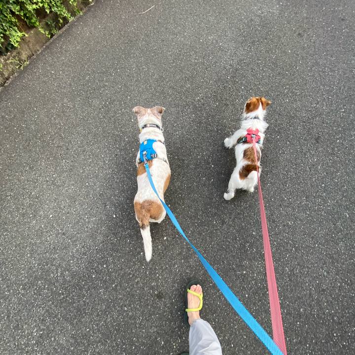 65d10515 fb4b 4ac0 8271 1ccd87ab9de3 1688425993132