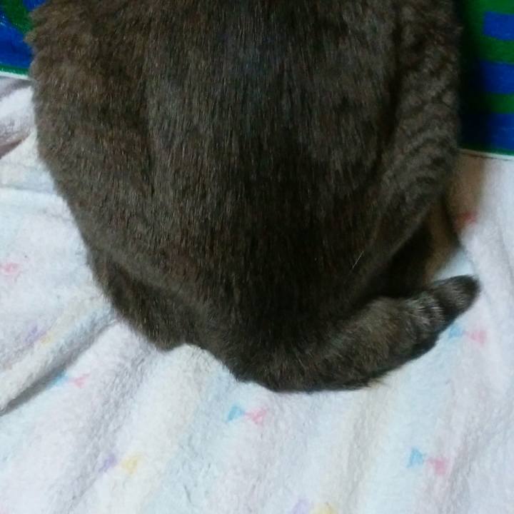 65d107c8 20b5 425d 90c6 a7472f95d936 1584910324897