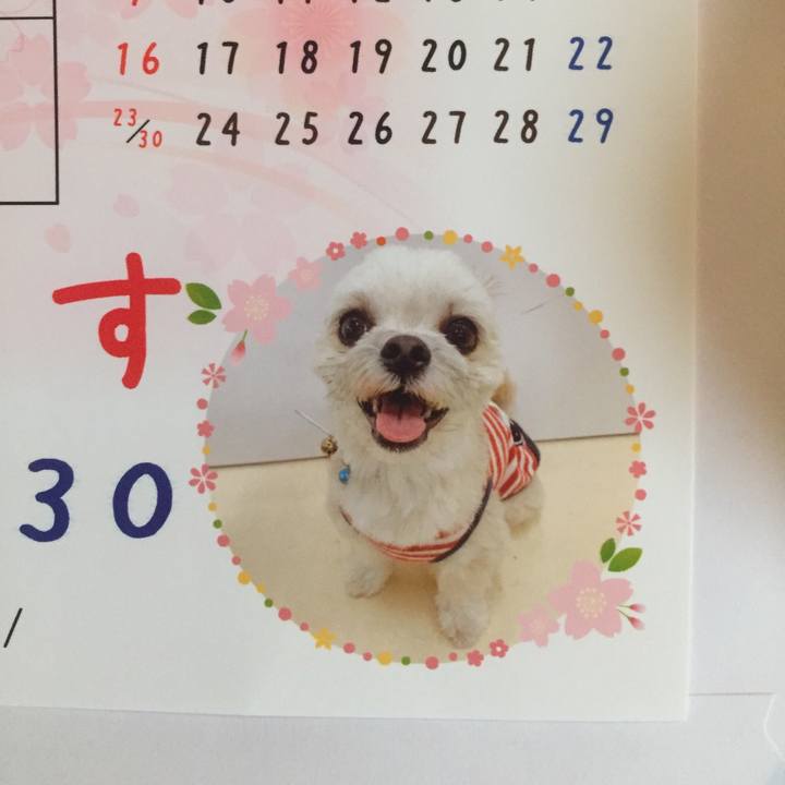 65d11a8e 7d9e 4688 8ae2 c6d3dd59e483 1555324002415