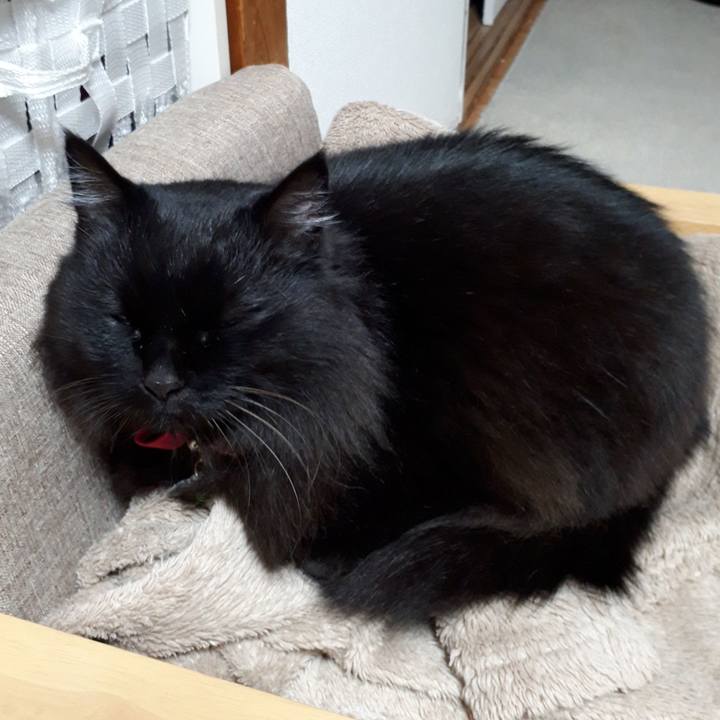 65d12d80 e51f 4289 928b ec6bfac048e4 1519067906019