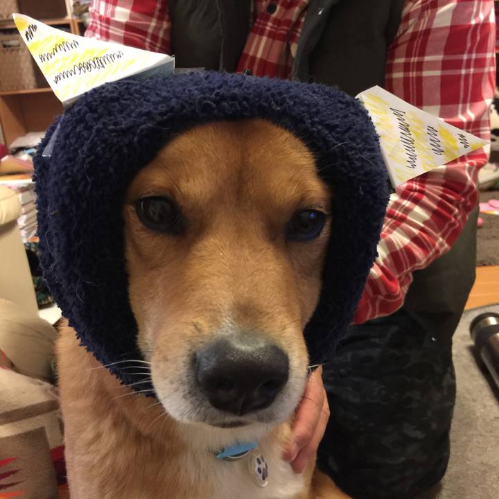 65d168f4 8385 48b2 ab17 abc3ac9befb4 1517712099078