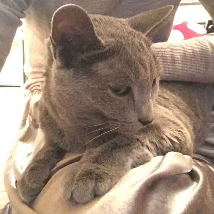 65d195a0 d2c0 4f18 9763 09c3d1725f6d 1552702221645