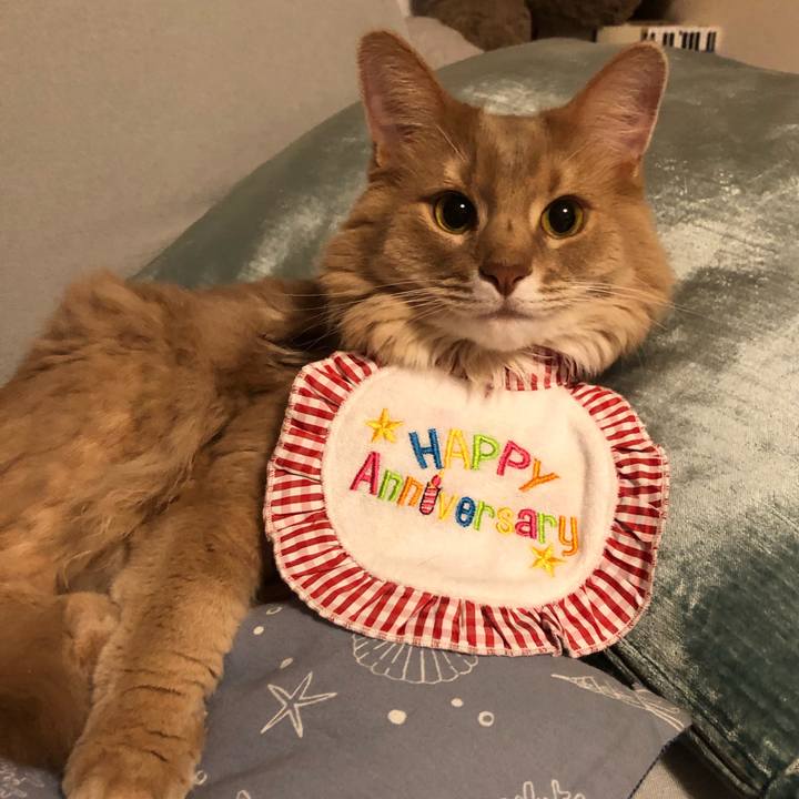 65d198a4 e815 45fe 9d11 9b9ea3d0a1d2 1626925073984