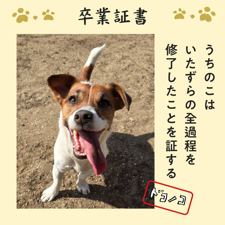 65d1ac6a 76dd 4d40 b4cf 0c83bb76e81f 1771826312283