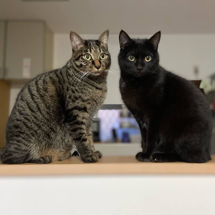 65d1c02b f0db 4308 9afc 4cb69c041d6b 1639222300572