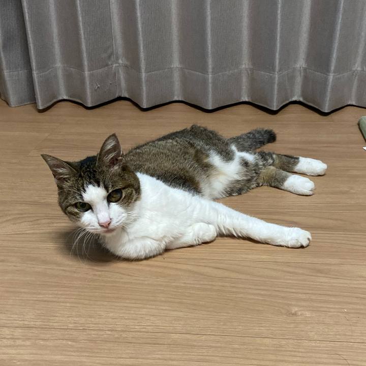 65d22c5e 3853 42fc 8fc6 178e1a5b4246 1571662902075