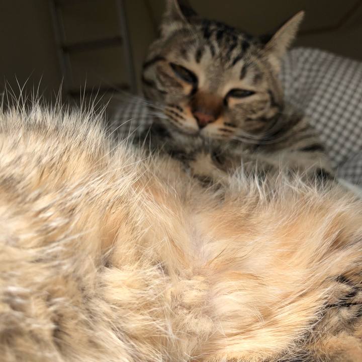 65d28bde c711 4e48 bc7e e235afbd5f7a 1552020418002