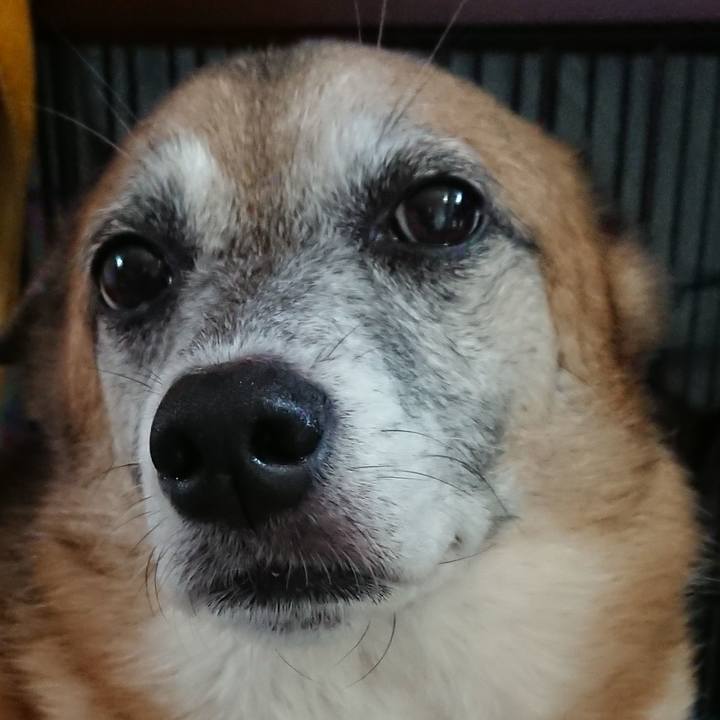 65d2911a ec31 4582 b526 16a0670c7c2d 1533961917386